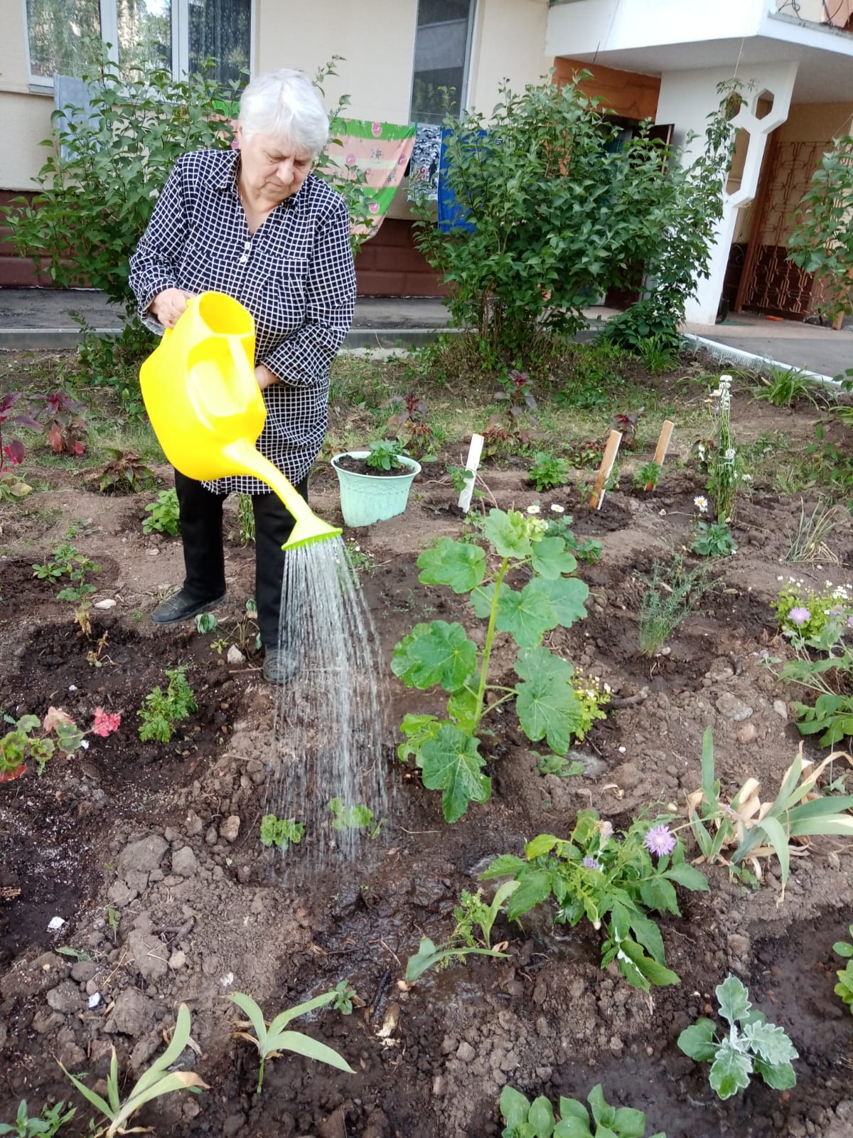 Камполянцы присоединились к акции: «Ведро воды не жалко»