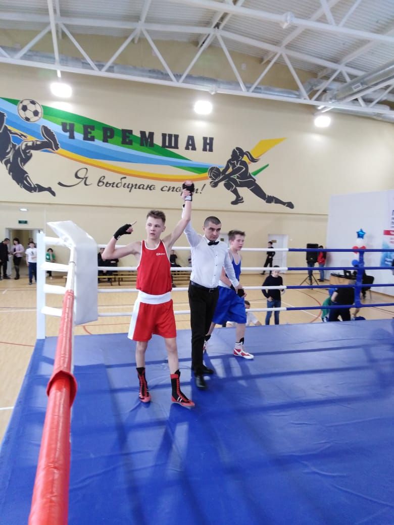 Камполянские спортсмены приняли участие в турнире по боксу к Дню космонавтики