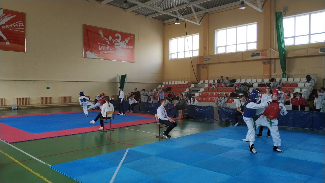 Камполянские спортсмены приняли участие в Первенстве памяти Ильдуса Ягафарова