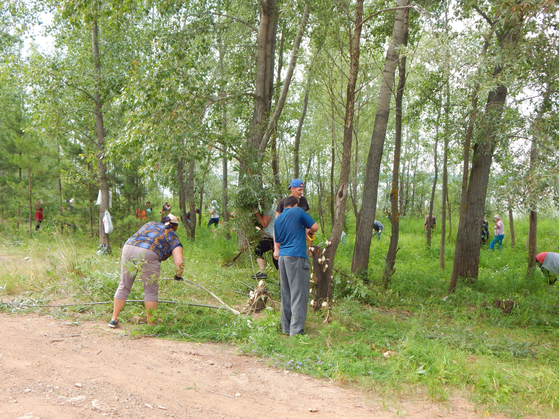 В Камских Полянах провели санитарную обрезку деревьев