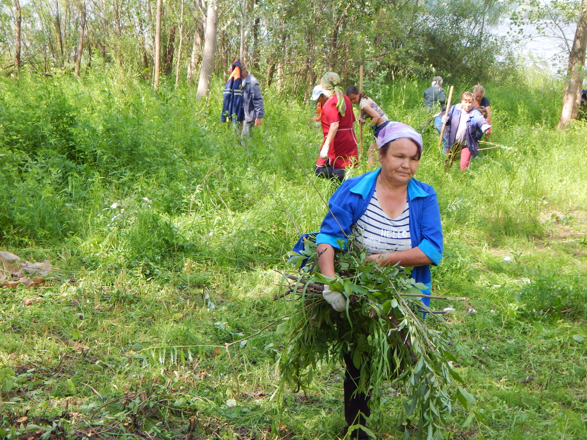 В Камских Полянах провели санитарную обрезку деревьев