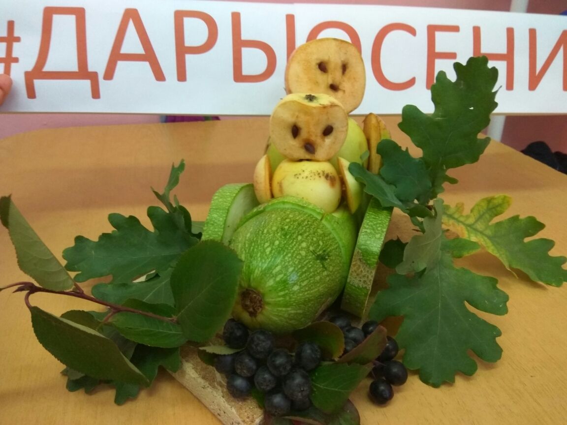 В детском саду с.Кармалы состоялась выставка поделок из яблок #ДАРЫОСЕНИ