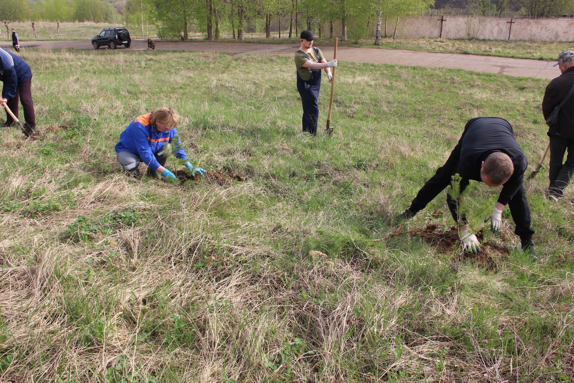 Камполянцы присоединились к международной акции «Сад памяти»