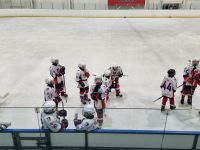 Камполянские хоккеисты стали победителя в Республиканском этапе Всероссийских соревнований «Золотая шайба»