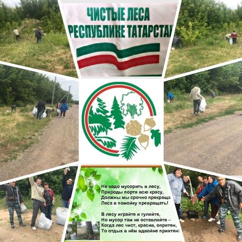 Проживающие Камско-Полянского дома-интерната присоединились к акции «Чистые леса Татарстана»