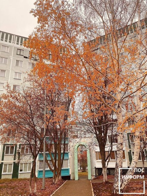 Штормовое предупреждение из-за сильного ветра объявлено в Татарстане