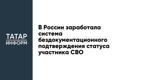 В России заработала система бездокументационного подтверждения статуса участника СВО