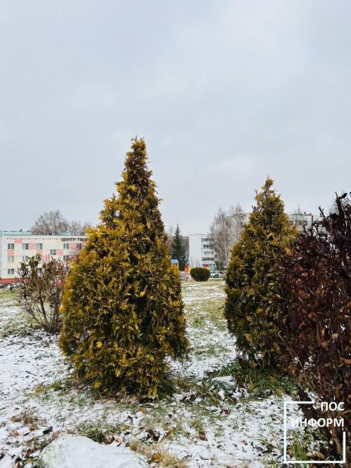 В Республике Татарстан к концу недели ожидается значительное похолодание