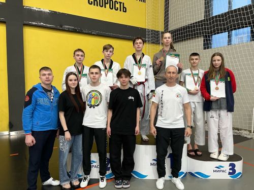 Камполянские тхэквондисты заняли призовые места в Первенстве РТ