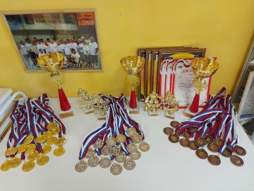 В ледовом дворце Олимпия прошло Первенство НМР РТ по хоккею