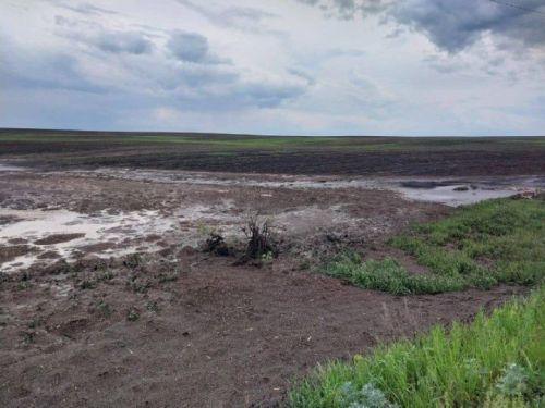 В Татарстане затопило село после сильного ливня