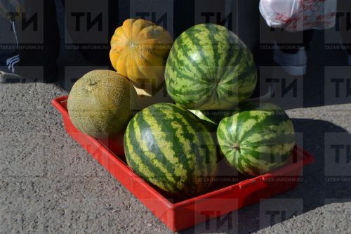 Роспотребнадзор предупреждает россиян не покупать арбузы на трассах