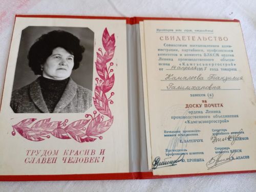 Её руки помнит каждый дом в Камских Полянах