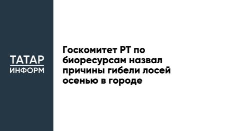 Госкомитет РТ по биоресурсам назвал причины гибели лосей осенью в городе