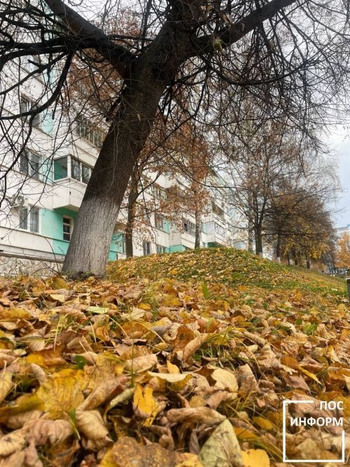 Яков Студеный 22 октября: народные приметы, традиции и строгие запреты дня
