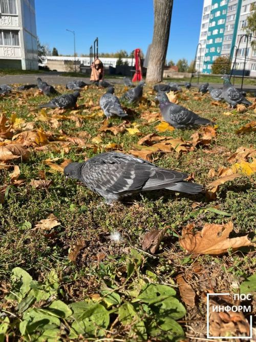 Теплая неделя в Татарстане: температура превысит климатическую норму