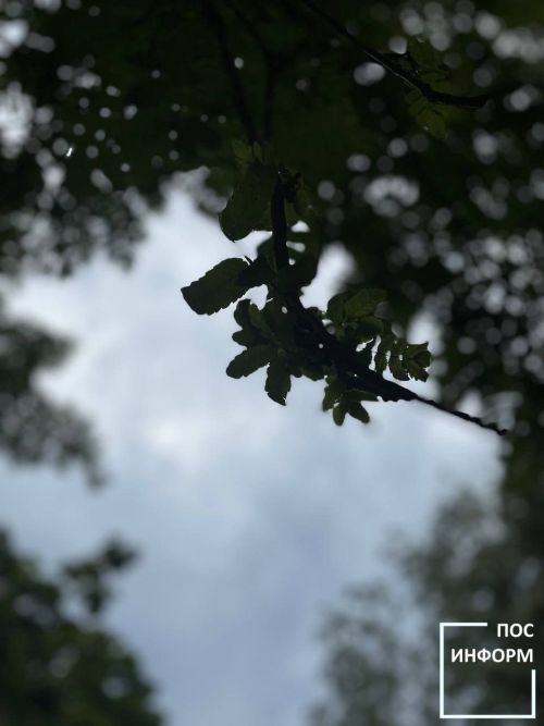 Творчество жительницы Камских Полян Светланы Бадретдиновой