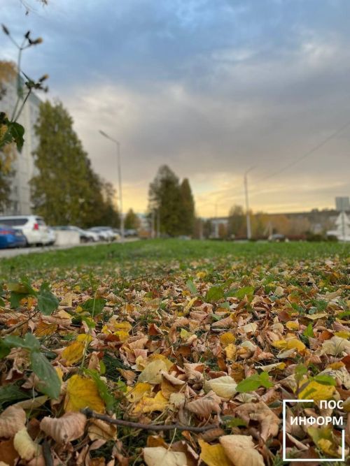 Творчество жительницы Камских Полян Светланы Бадретдиновой