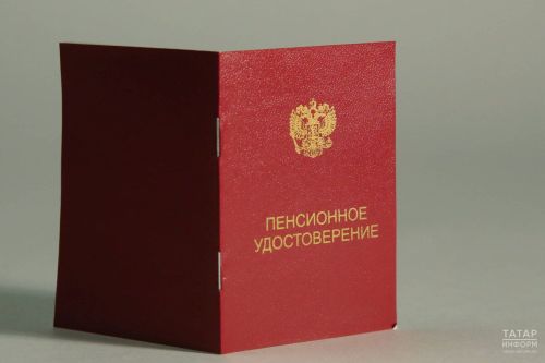Электронные заявления на пенсию в Татарстане: более 28 тысяч граждан уже воспользовались услугой