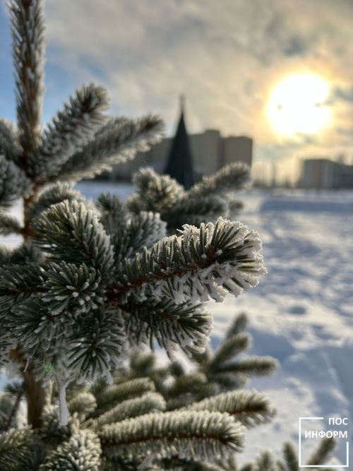 От аквапарка до настольных игр: жители Камских Полян рассказали, как проведут новогодние каникулы