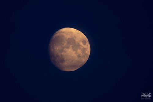 Сегодня на ночном небе можно будет наблюдать самую большую Луну этого года