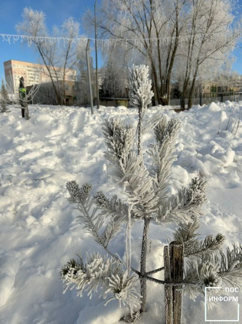 Народные приметы на 16 декабря 2025: погодные предсказания в День Ивана Молчальника