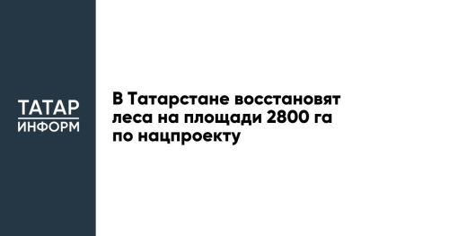 В Татарстане восстановят леса на площади 2800 га по нацпроекту