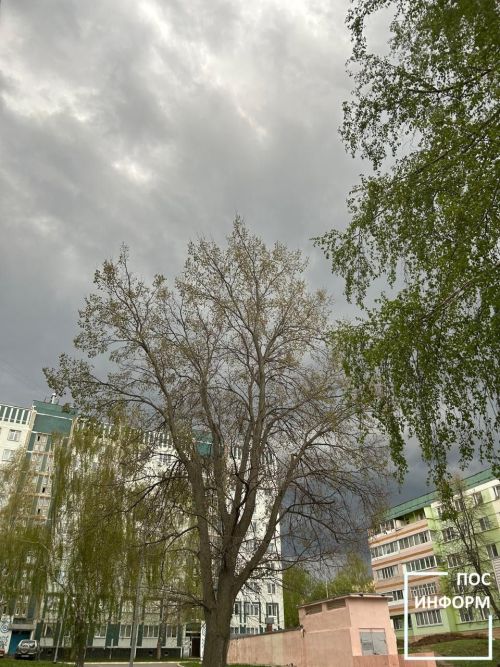 День Василия-Парильщика — 25 апреля 2025 года: народные приметы и обычаи