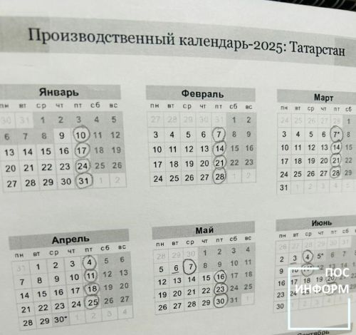 В Госдуме не исключили введение четырехдневной рабочей недели в России