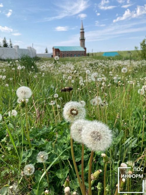 В Камских Полянах супермаркет и аптека под ногами