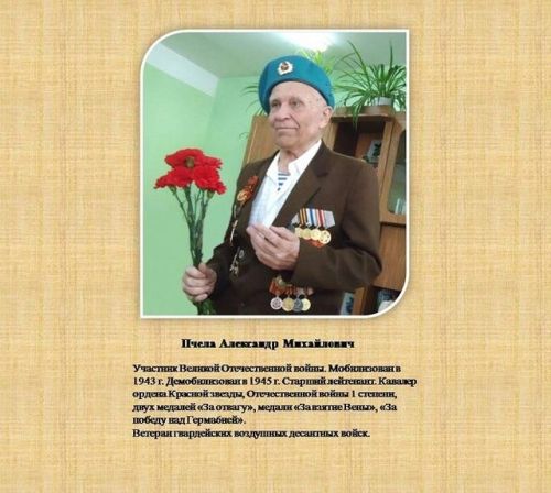 Жизнь Александра Пчелы: от войны до минералов