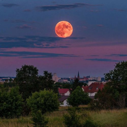 Клубничная Луна взойдет 11 июня — редкое явление