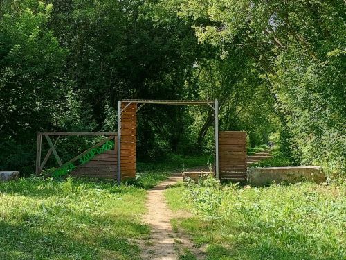 Тропа здоровья в Камских Полянах: гармония природы и активного отдыха