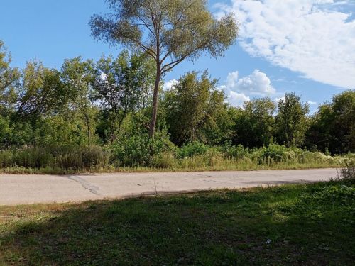 Тропа здоровья в Камских Полянах: гармония природы и активного отдыха