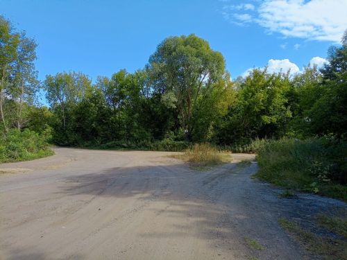 Тропа здоровья в Камских Полянах: гармония природы и активного отдыха