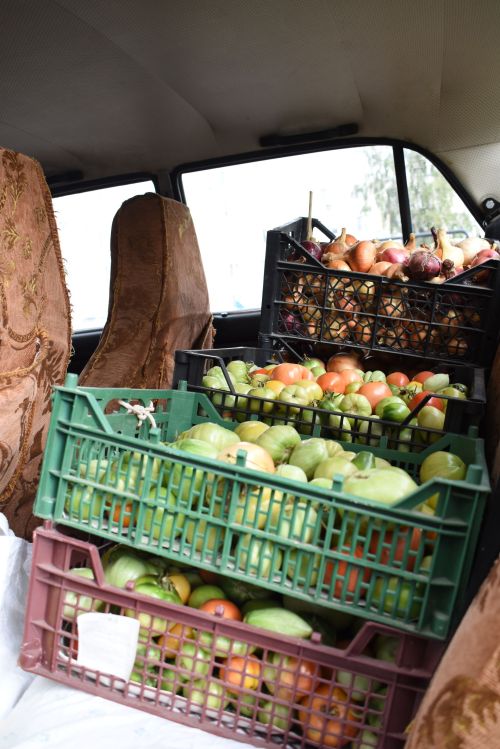 Экономия и натуральность продуктов – главное не лениться!