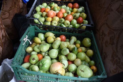 Экономия и натуральность продуктов – главное не лениться!