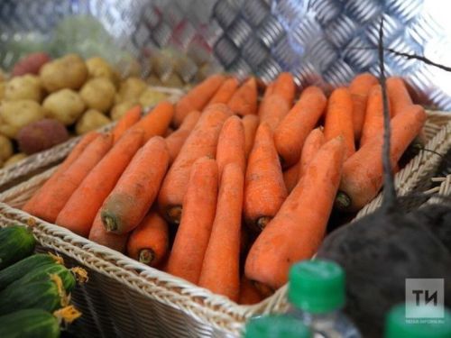 Простые советы для камполянцев: как сохранить урожай овощей до весны