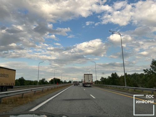Лось вновь на дороге