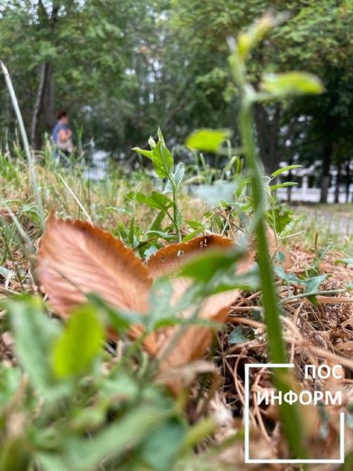 Творчество жительницы Камских Полян Светланы Бадретдиновой