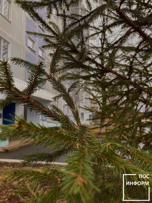 Народные приметы на 11 сентября: что можно и нельзя делать в день Ивана Постного
