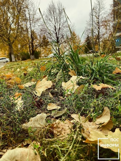 Творчество жительницы Камских Полян Светланы Бадретдиновой