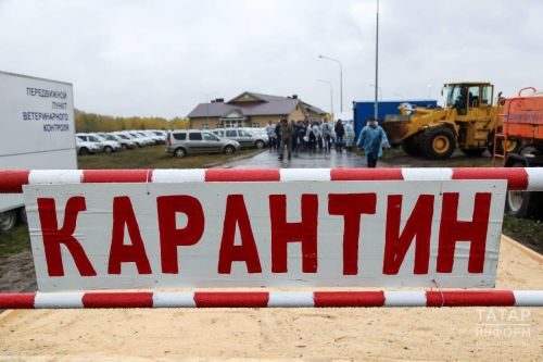 В регионе напоминают о рисках заражения бешенством и правилах защиты