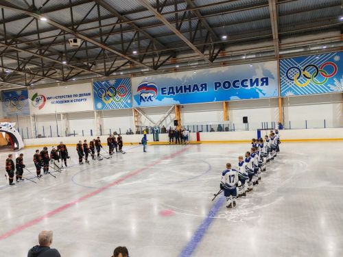 В Камских Полянах прошел хоккейный турнир