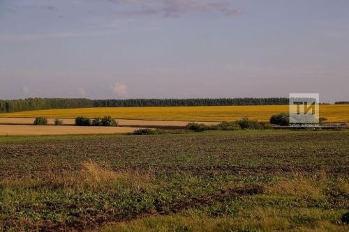 Росреестр Татарстана провел масштабную проверку земель с начала 2026 года