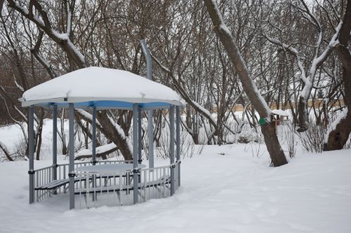 Совет ветеранов Камских Полян: проекты, планы и неустанная работа