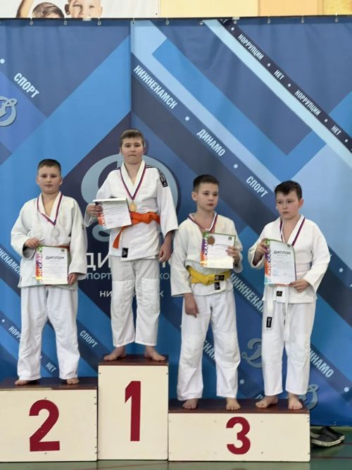 Спортсмены из Камских Полян заняли призовые места на Первенстве по дзюдо