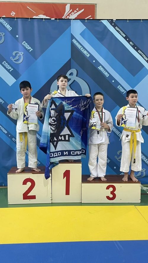 Спортсмены из Камских Полян заняли призовые места на Первенстве по дзюдо