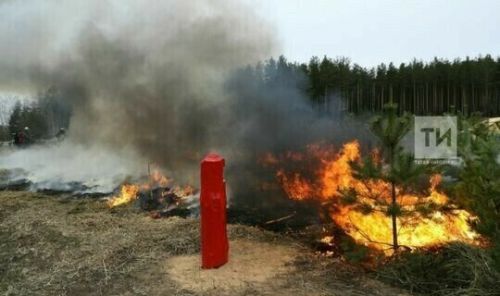 С 25 апреля в Татарстане будет действовать особый противопожарный режим