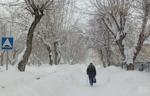 Жителей Татарстана предупредили о сильном ветре в ближайшие сутки